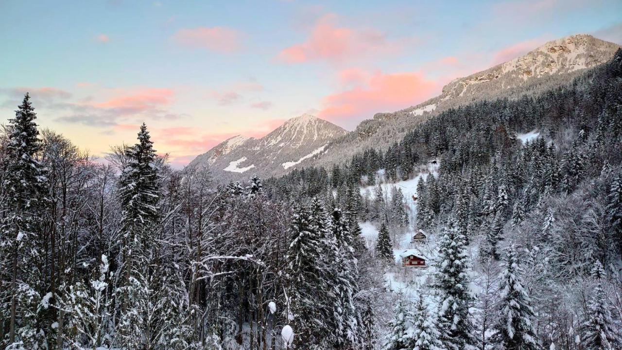 Kunst- Und Naturfreundehaus Bruenig Lungern Exterior foto